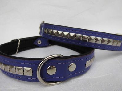 LEDER Halsband , Hundehalsband, Halsumfang 49-59 cm, NEU * Violett*