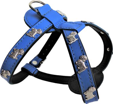 WESTIE Hundegeschirr - Geschirr, Brustkorb 41-49cm Echt Leder Blau -Schwarz