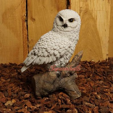 Eule weiß Eulefigur Schleiereule Dekofigur Figur Statue Skulptur Deko Vogel neu