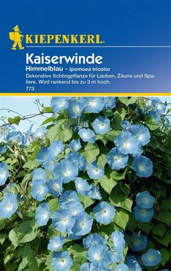 Kaiserwinde Himmelblau Ipomoea tricolor