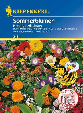 Sommerblumen Mix - Niedrige Mischung