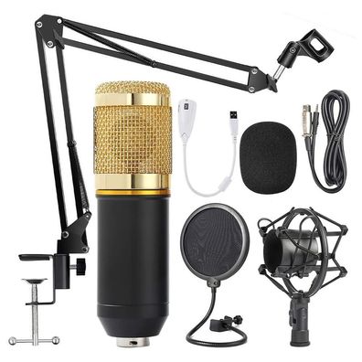 Studiokondensator, Mikrofonmikrofon für Rundfunk, Gesang, Aufnahme