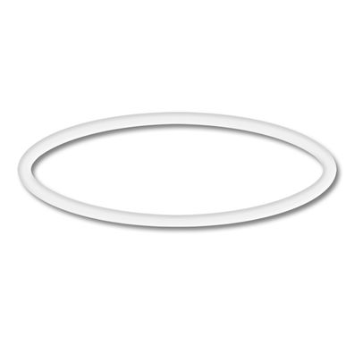 SunSun Ersatzteil CLP-16000 Max Eco Teichpumpe O-Ring 2 Teich Skimmer Zubehör