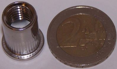 10 Stück M10 Edelstahl A2 Nietmuttern Einziehmutter mit Flachkopf 0,5-3mm (Gr. M10)