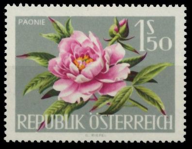 Österreich 1964 Nr 1146 postfrisch SBCC45A