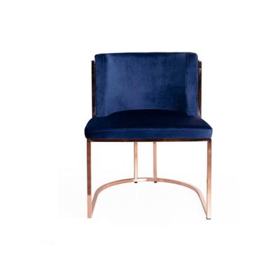 Luxus Stuhl Stühle Wohnzimmer Esszimmer Lehnstuhl italien Stil Polsterstuhl Neu