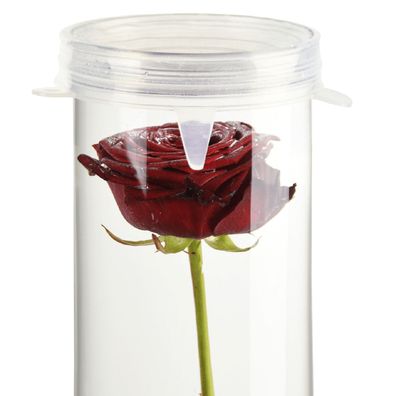 Kappe Deckel Verschluss für Versunkene Blumen Vase Wasser Pflanzen Schutz