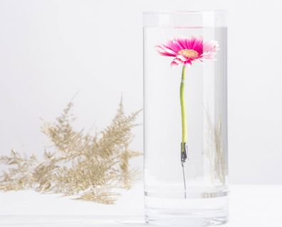Versunkene Blumenvase mit Befestigungsclip unter Wasser für ihre Blumen