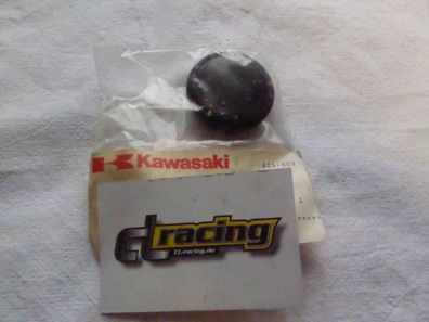 Kappe Schwingwellen Abdeckung swing shaft passt an Kawasaki Kz 550 11012-1397