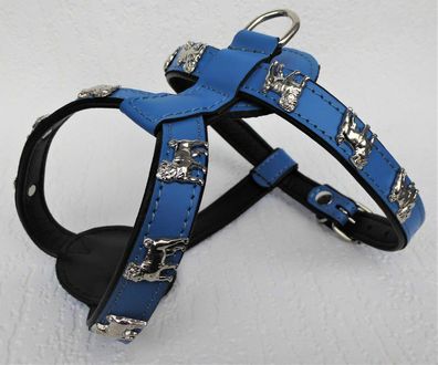 Hundegeschirr - Geschirr, Brustkorb 49-56cm * MOPS * Echt Leder Blau-Schwarz