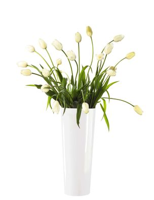 ASA Vase, weiß MONO D. 17 cm, H. 45 cm 1036005 ! Vorteilsset beinhaltet 4 x den ...