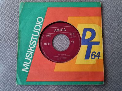 Maryla Rodowicz/ Wolfgang Ziegler - Hej, Träume/ Heimlichkeit 7'' Vinyl Amiga