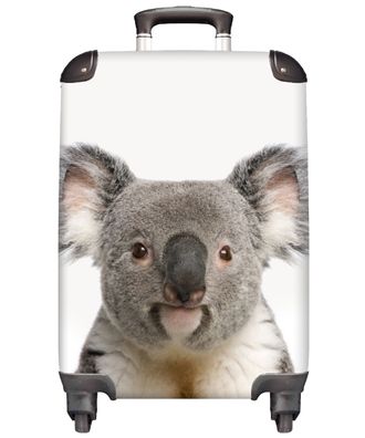 Koffer - Handgepäck - Koala - Nahaufnahme - Trolley - Rollkoffer - Kleine Reisekoffer