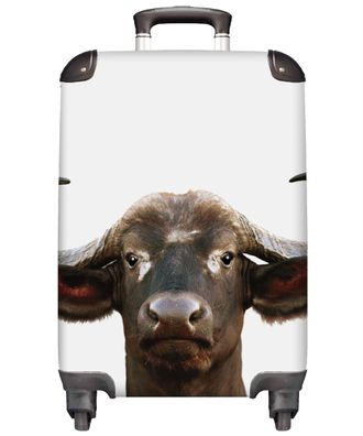 Koffer - Handgepäck - Büffel - Kuh - Nahaufnahme - Hörner - Kleine Reisekoffer