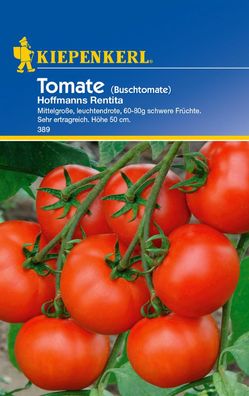 Tomate (Buschtomate) Hoffmanns Rentita