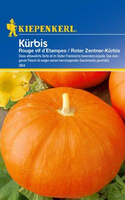 Kürbis Rouge vif dEtampes / Roter Zentner-Kürbis