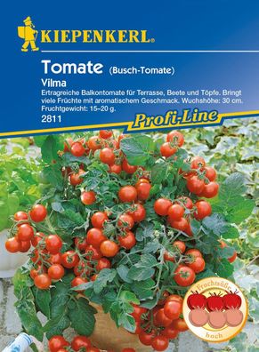 Tomate / Balkontomate Vilma (Cherry-Tomate)