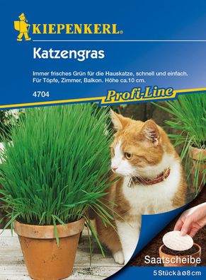 Katzengras - 5x Saatscheibe d= 8cm