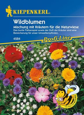Wildblumen mit Kräutern für die Naturwiese - Mischung, ein-u. mehrjährig