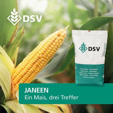 DSV Saatmais JANEEN S 260 K250 Silomais Körnermais Biogasmais 1 Einh. / Standard