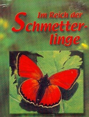 Im Reich der Schmetterlinge