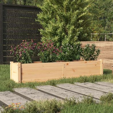 vidaXL Garten-Hochbeet 150x31x31 cm Massivholz Kiefer