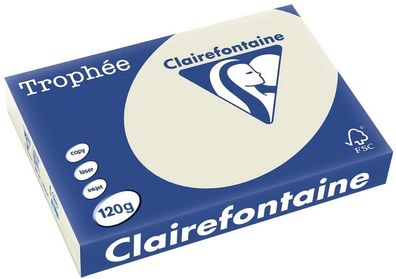 Clairefontaine Trophée Color 1201C Grau 120g/ m² DIN-A4 - 250 Blatt