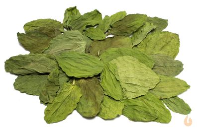 Breitwegerich Blätter getrocknet | Premium Qualität Aquarium Garnelen Deko Tee