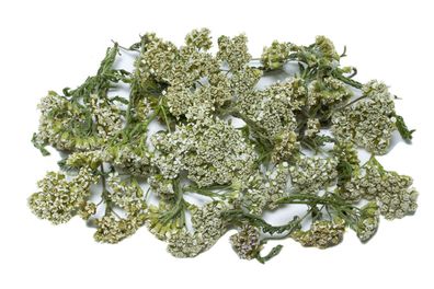 Schafgarbe Blüten getrocknet | Premium Qualität | Aquarium Garnelen Deko Tee
