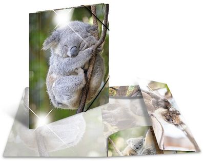 HERMA Eckspannermappe "Koala" PP Glossy DIN A4
