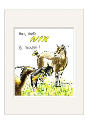 Bild | Ziege Nix zu meckern | Kunstdruck Passepartout Druck Wandbild | 30cm
