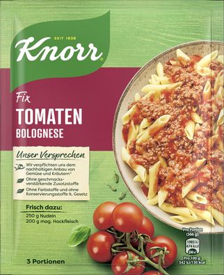 Knorr Fix Tomaten Bolognese 46g Beutel, 23er Pack (23x46g)