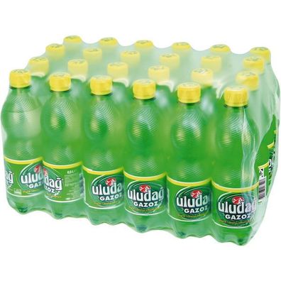 Uludag Gazoz Pet 24x0.50l Fl., Einweg-Pfand