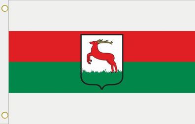 Fahne Flagge Pila Schneidemühl (Polen) Hissflagge 90 x 150 cm