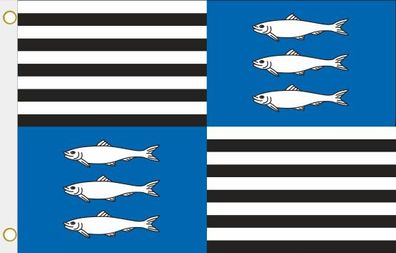 Fahne Flagge Vézelise (Frankreich) Hissflagge 90 x 150 cm