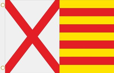 Fahne Flagge Hospitalet de Llobregat (Spanien) Hissflagge 90 x 150 cm