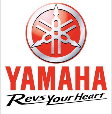 Yamaha Feder Spring 90508-23665 NOS XX6410