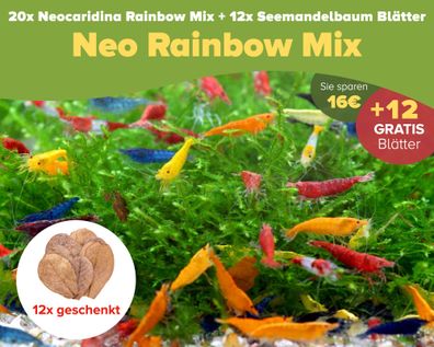 NatureHolic - 20x Neo Regenbogen Garnelenmix + 12x Seemandelbaum Blätter