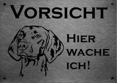 Hundewarnschild Vizsla | Edelstahl Warnschild