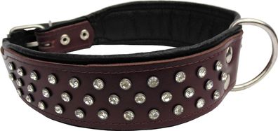 Halsband - Hundehalsband, Halsumfang 51-61cm/50mm, LEDER + Kristallen, Braun bn