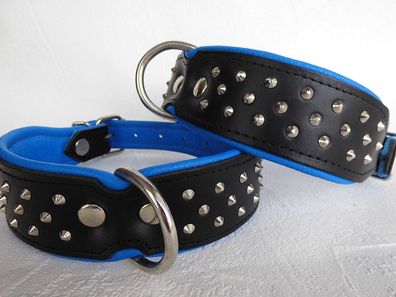 Hundehalsband, NIETEN, Halsumfang 38-46cm, LEDER Schwarz-Blau NEU (-1032)