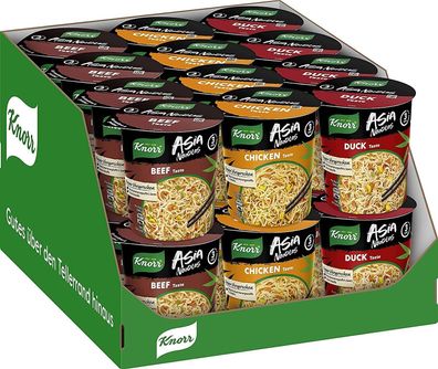 Knorr Instant Nudeln Asia Noodles Nudelgericht Rind Huhn Ente 24er Pack 24 x 65g