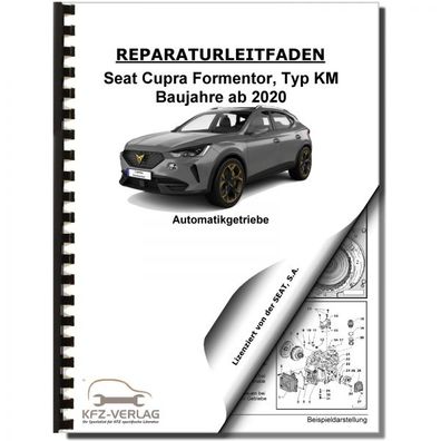 SEAT Formentor ab 2020 6 Gang Automatikgetriebe DSG DKG 0DD Reparaturanleitung
