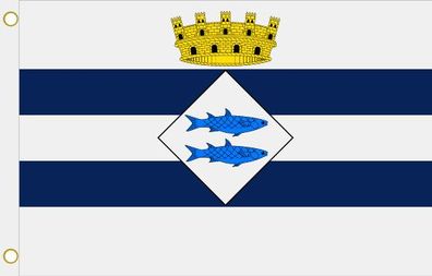 Fahne Flagge Llissá de Vall (Spanien) Hissflagge 90 x 150 cm