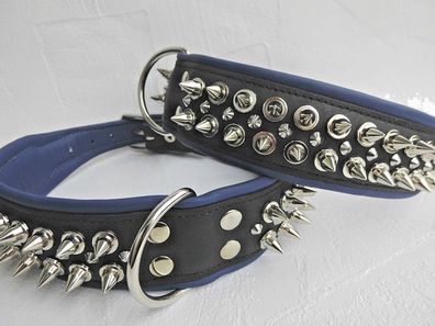 Hunde Halsband - Halsumfang 50-60cm/50mm Stacheln-nieten, Schwarz-BLAU (1368)