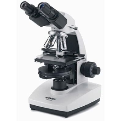 86.125 Novex binokulares Mikroskop BBI NEU