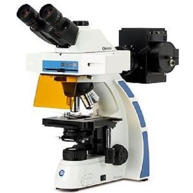 OX.3075 Euromex Oxion Trinokular Mikroskop für Fluoreszenz