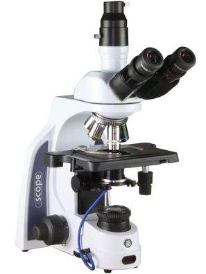 Euromex iScope Trino Mikroskop für Dunkelfeld Super Contrast IS.1153-PLi/ DFi