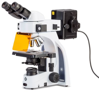 Euromex iScope Fluorescence Mikroskop für Material Wissenschaften IS.3153-PLi/3
