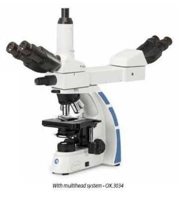 OX.3034 Euromex Trinokular Mikroskop mit Multikopf System Oxion